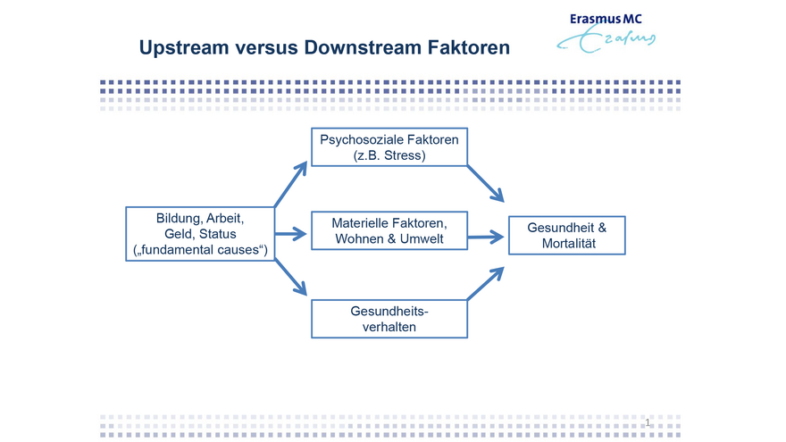 Fließdiagramm, das die indirekten Einflüsse auf Gesundheit darstellt