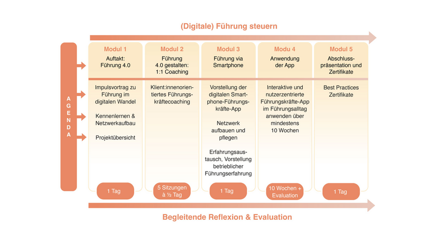 Fließdiagramm, das den Projektablauf des LsA-Projektes abbildet