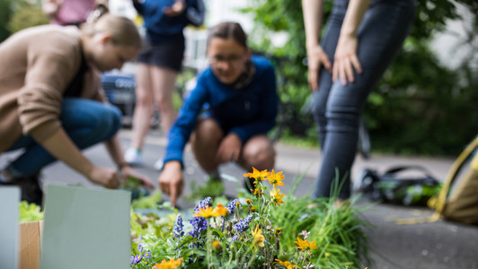 Studentinnen beim Gärtnern